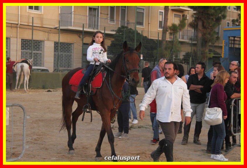 161106 equestre 151_tn.jpg